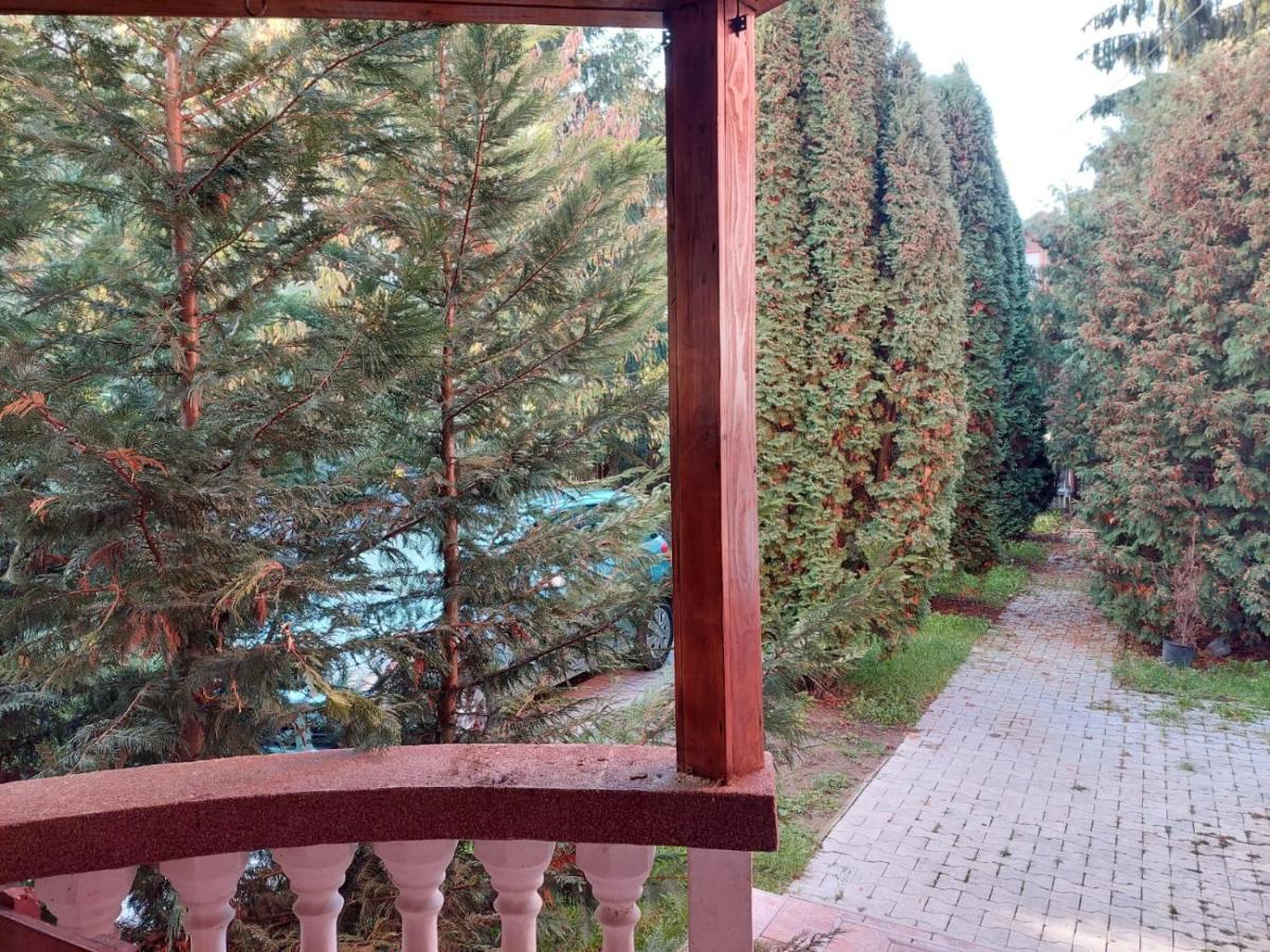 Apartamente Bobo Sîngeorgiu de Mureş Extérieur photo